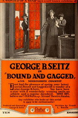 Poster de la película Bound and Gagged