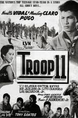 Poster de la película Troop 11