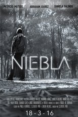Poster de la película Niebla