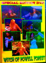Poster de la película Witch Of Powell Forest