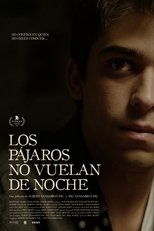 Poster de la película Birds Don’t Fly at Night