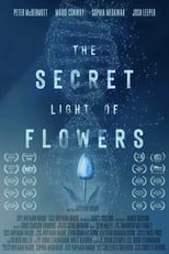 Poster de la película The Secret Light of Flowers