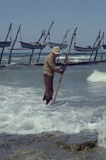 Poster de la película The Colour of Memory