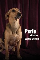 Poster de la película Perla