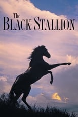 Poster de la película The Black Stallion