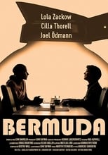 Poster de la película Bermuda