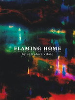 Poster de la película Flaming Home