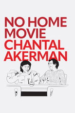 Poster de la película No Home Movie