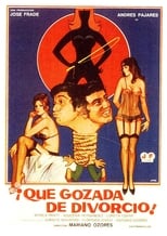 Poster de la película ¡Qué gozada de divorcio!