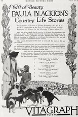 Poster de la película The Collie Market
