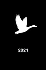 Poster de la película Goose