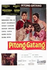 Poster de la película Pitong Gatang