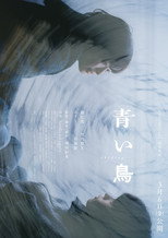 Poster de la película 青い鳥