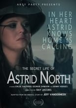 Poster de la película The Secret Life of Astrid North