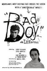 Poster de la película Bad Boy