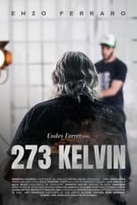 Poster de la película 273 KELVIN