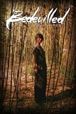 Poster de la película Bedevilled