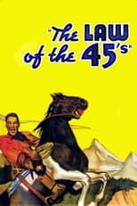 Poster de la película The Law of 45's