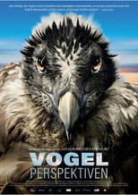 Poster de la película Bird's Eyeview