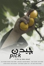 Poster de la película Pick