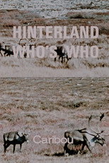 Poster de la película Hinterland Who's Who: Caribou