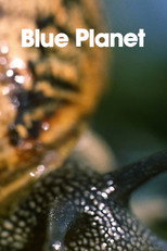Poster de la película The Blue Planet