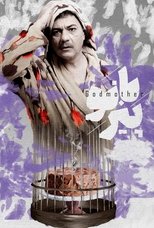 Poster de la película Godmother