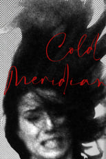 Poster de la película Cold Meridian