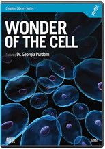 Poster de la película Wonder of the Cell