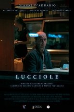 Poster de la película Lucciole