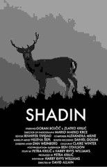Poster de la película Shadin