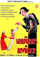 Poster de la película Les surprises du divorce