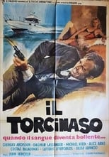 Poster de la película Il torcinaso
