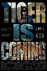 Poster de la película Tiger is Coming