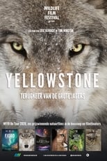 Poster de la película Yellowstone