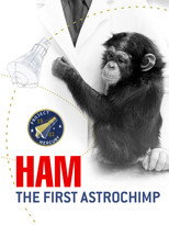 Poster de la película Ham: A Chimp into Space