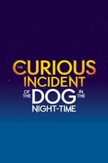 Poster de la película The Curious Incident of the Dog in the Night-Time