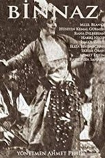 Poster de la película Binnaz
