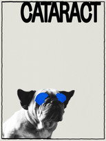 Poster de la película Cataract