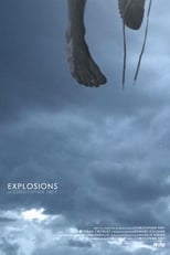 Poster de la película Explosions