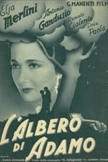 Poster de la película L'albero di Adamo