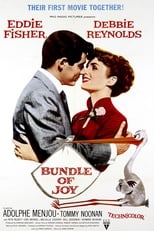 Poster de la película Bundle of Joy