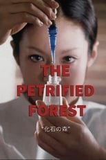 Poster de la película The Petrified Forest