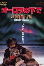 Poster de la película Aurora Borealis