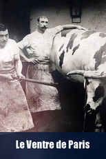 Poster de la película Le ventre de Paris