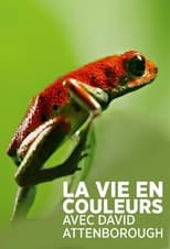 La vie en couleurs avec David Attenborough