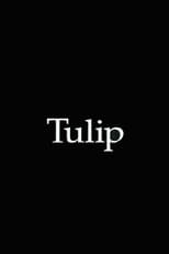 Poster de la película Tulip