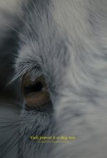 Poster de la película Geit prøver å si deg noe