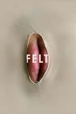 Poster de la película Felt