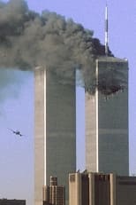 Poster de la película 9/11